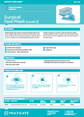 Surgical Mask with Earloops (Level 2) Flyer