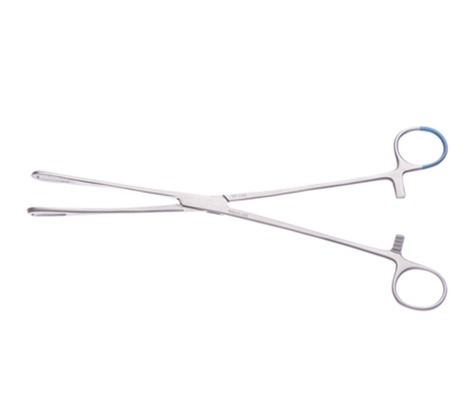 Rampley Forceps 25cm