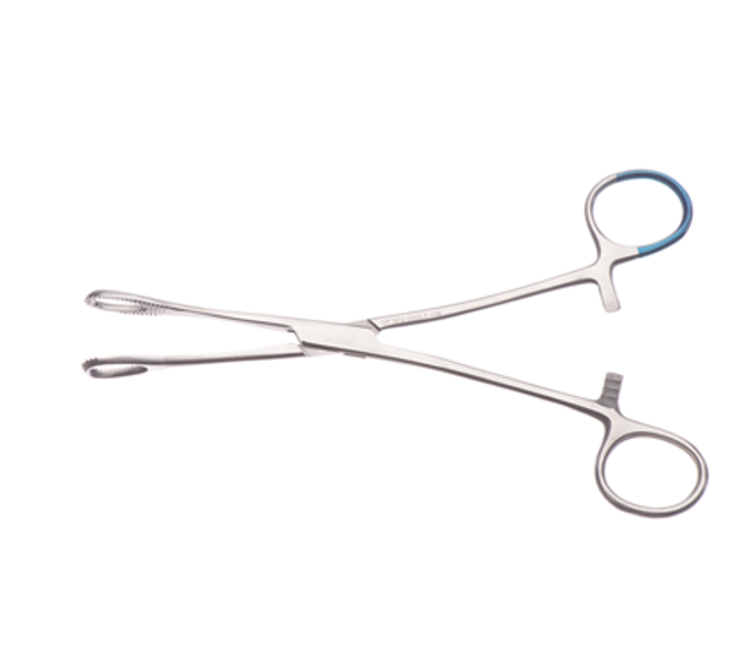 18cm Foerster Sponge Forceps