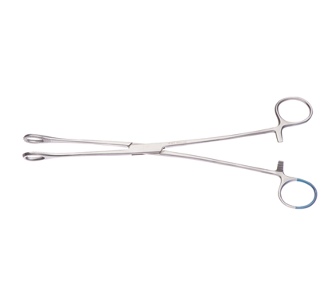 25cm Foerster Sponge Forceps