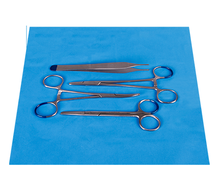 Suture Pack with Wagner Scissors