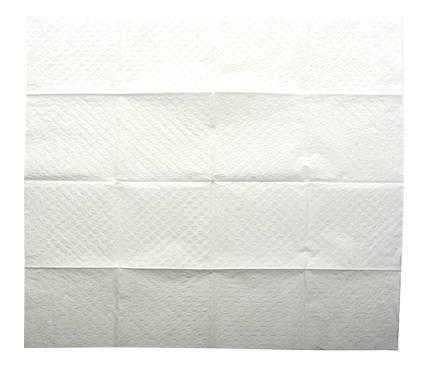 Multigate Paper Dressing Towel