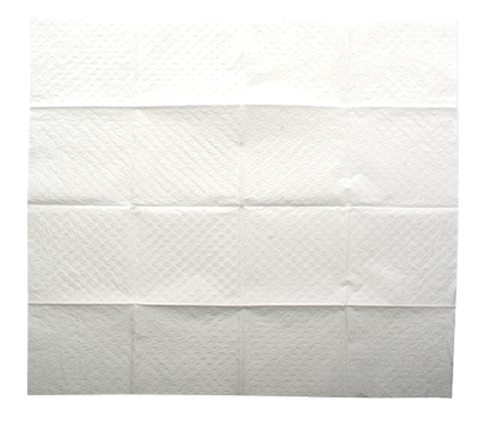 Multigate Paper Dressing Towel