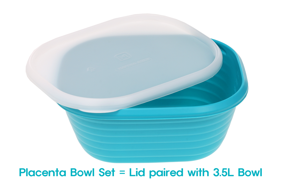 Placenta Bowl with Lid