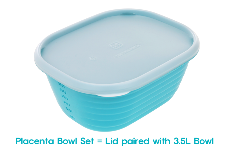 Cubeware 2.0 Placenta Bowl with Lid
